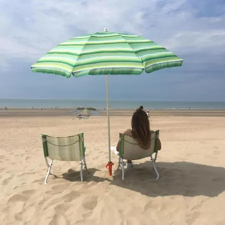 On Belgian Coast With Sea View, Cleaning Included * 코크시데
