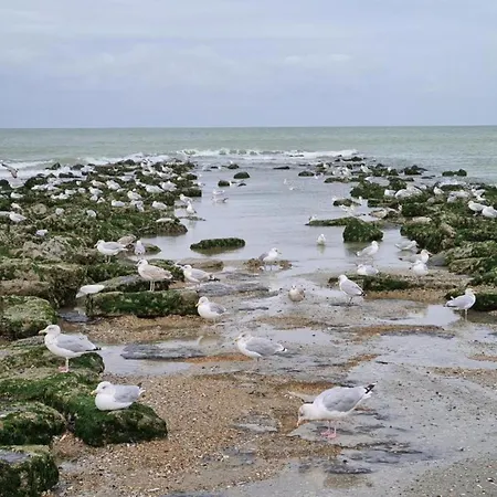 아파트 On Belgian Coast With Sea View, Cleaning Included 코크시데