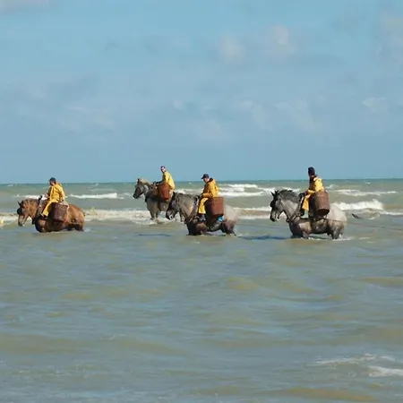 On Belgian Coast With Sea View, Cleaning Included 아파트 *