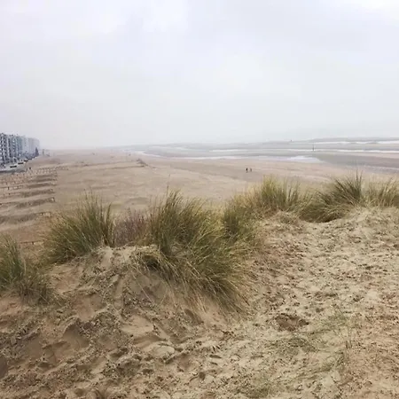 Apartamento On Belgian Coast With Sea View, Cleaning Included *