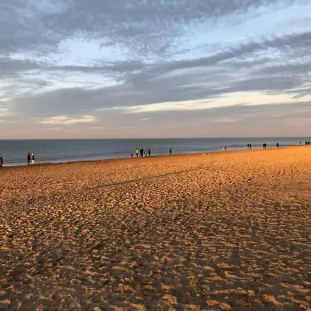 On Belgian Coast With Sea View, Cleaning Included 아파트
