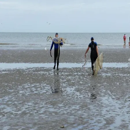 아파트 On Belgian Coast With Sea View, Cleaning Included *