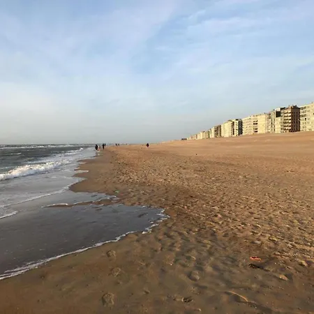 On Belgian Coast With Sea View, Cleaning Included *