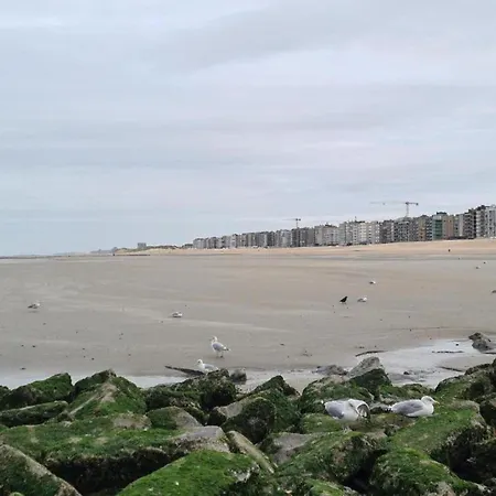 On Belgian Coast With Sea View, Cleaning Included 아파트 코크시데